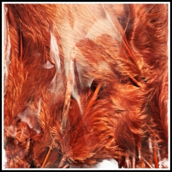 Marabou (Strung) Red Brown